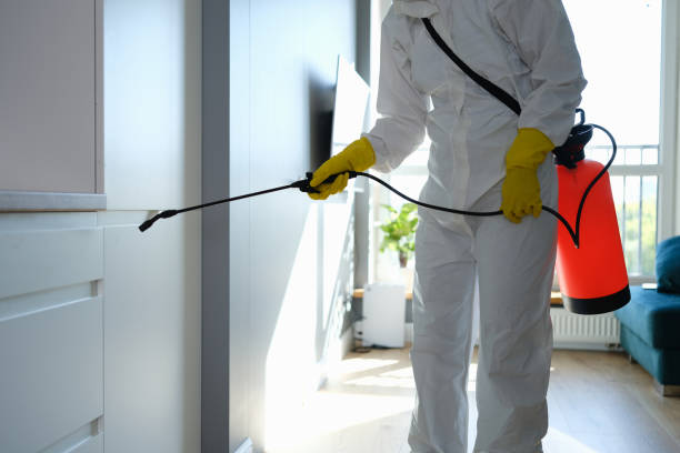 Best Certified Mold Removal  in Loch Sheldrake, NY