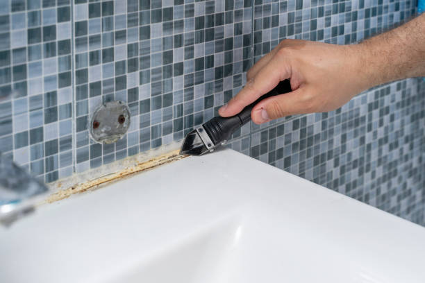 Best Mold Testing and Removal  in Loch Sheldrake, NY
